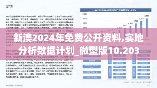 2025新澳精准正版免費資料,的警惕虚假宣传-全面释义、解释落实