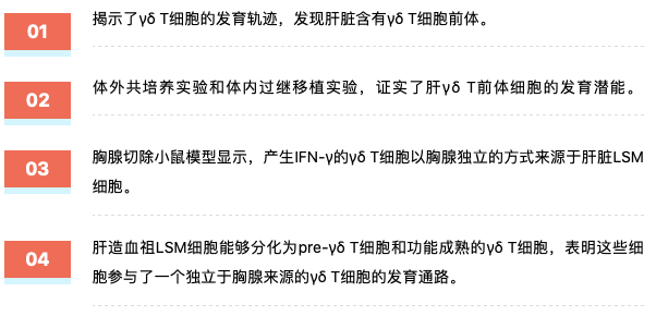 2025新澳精准正版免費資料,详解释义、解释落实